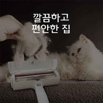 세탁/청소